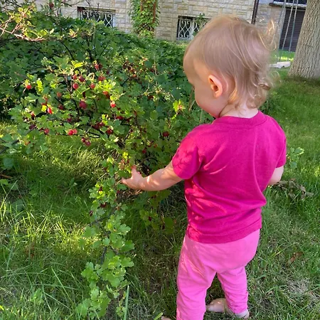 Poddasze Apartmán *